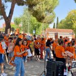 IU vuelve a reclamar el cumplimiento de la Ley de Bienestar Animal y una gestión municipal efectiva de las colonias felinas
